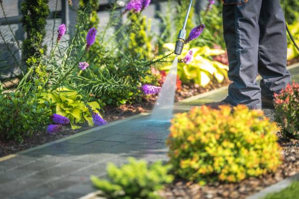 Best Pre-Holiday Cleaning  in Downers Grove, IL